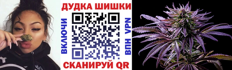 Марихуана семена  Купить где  Медвежьегорск 